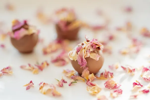 Kasino Lotus Asia Android/iOS Aplikácia